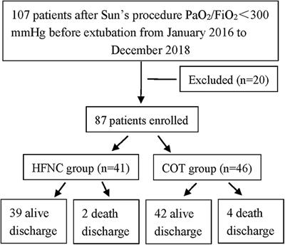 Effect of High-Flow Nasal Cannula for Hypoxemia Following Sun's Procedure in Acute Aortic Dissection Type a Patients